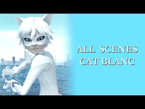All CAT BLANC Scenes Pack Moments 1080p60 | Miraculous Ladybug and Catnoir
