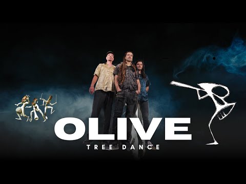 OliveTreeDance  - Live @ Casa da Música 2025