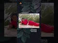 പഞ്ചവർണ്ണ പൈങ്കിളി പെണ്ണേ Video Song Dileep Manju Warr