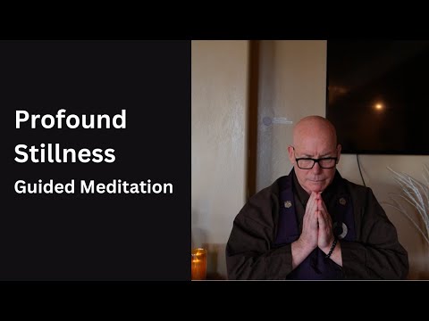 Stephen Snyder - Profound Stillness