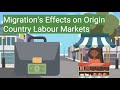 Effects Of Migration On Labour Markets In Countries Of Origin