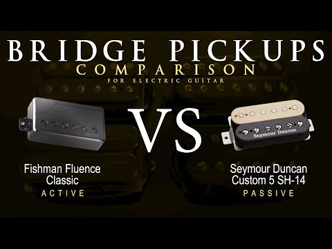 Fishman FLUENCE CLASSIC vs Seymour Duncan CUSTOM 5 SH-14 - Bridge Guitar Pickup Comparison Tone Demo