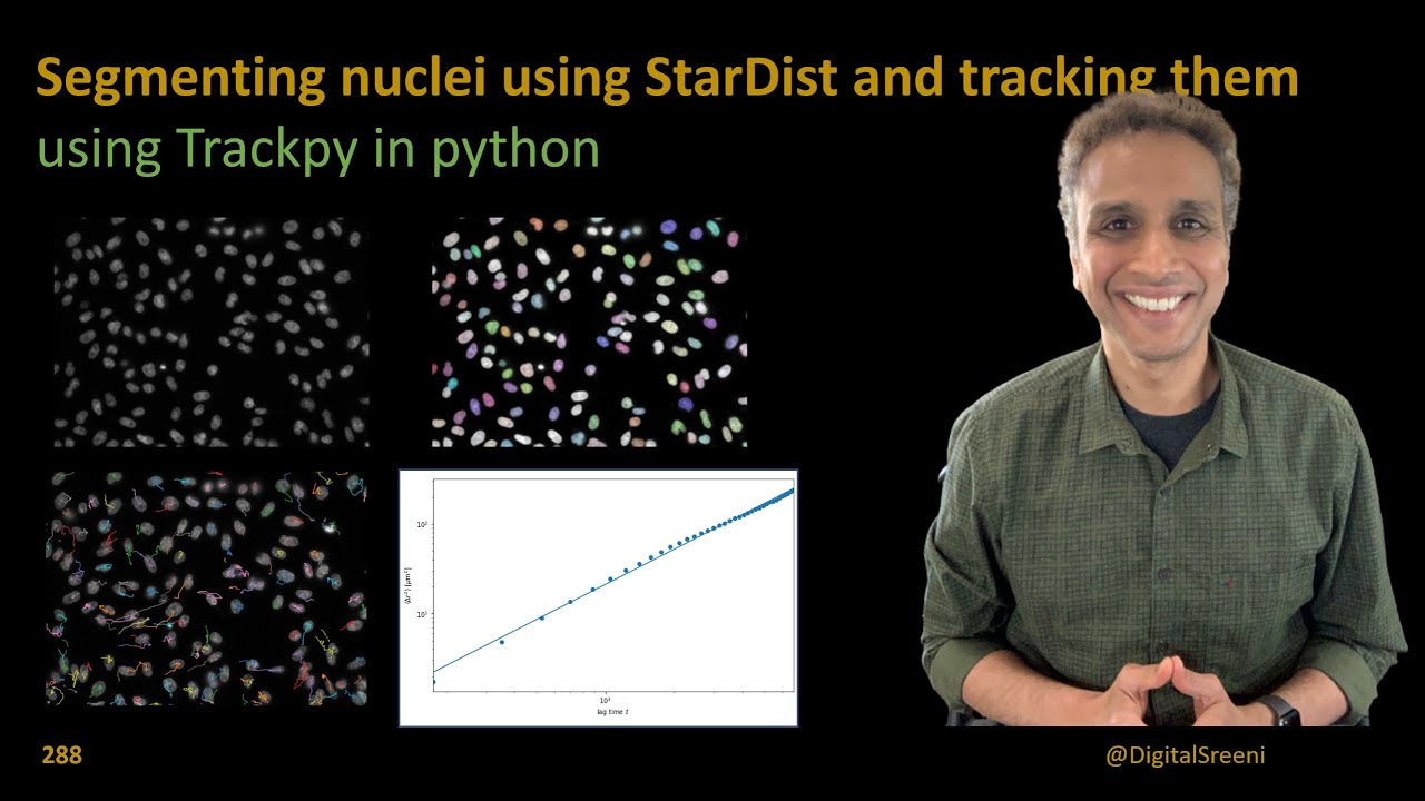 288 - Nuclei segmentation using StarDist and tracking using Trackpy in python