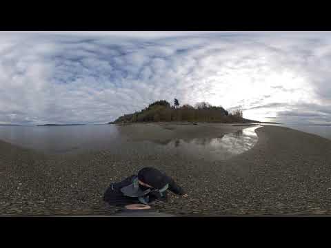 Walking through Picnic Point- North Lynwood, Washington. 360 VR Video