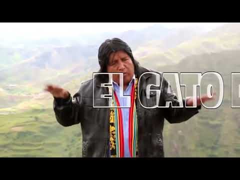 Gato Del Arpa - Aeroplano / Videoclip Oficial (Huayno Perú)