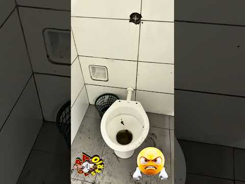 TENTE NÃO VOMITAR SE FOR POSSÍVEL ESSE É O BANHEIRO DA RODOVIÁRIA DE JUQUITIBA PARA RECEBER OS PASSAGEIROS DO BUSÃO DA VALE SUL NESSE SABADÃO DIA 18 DE ABRIL