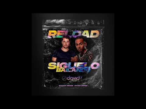 Sebastian Ingrosso X Ozuna - Siguelo Bailando X Reload ( David M Mashup)