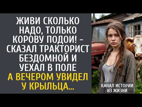 Истории из жизни Живи сколько надо, только корову подои! - сказал тракторист бездомной, уехав в поле