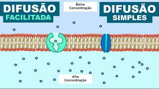 Transporte pela Membrana - Difusão e Osmose