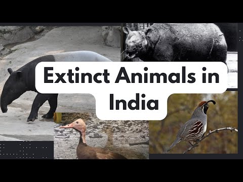 Extinct Animals in India