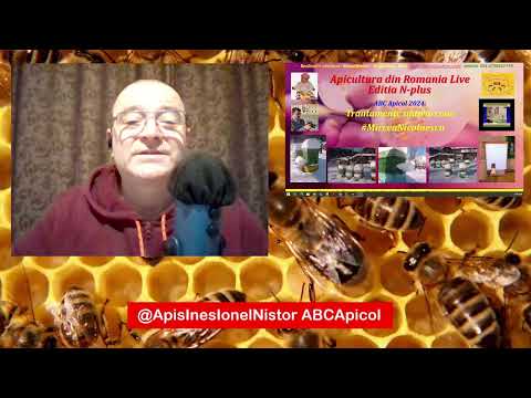21 12 2024 @ApiculturaDinRomaniaLive #apisines #ionelnistor