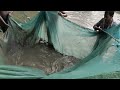 Village Style Fishing Part 3 II Village Life Fishing