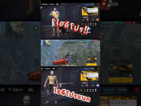 โปรฟีฟาย