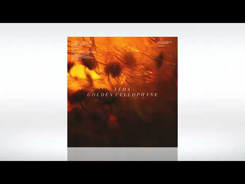 Track of the Day (24/01/2022) ~ VEHA ft. Rondo Mo - Turn It Around (Original Mix) ~ [PRGRSSN]