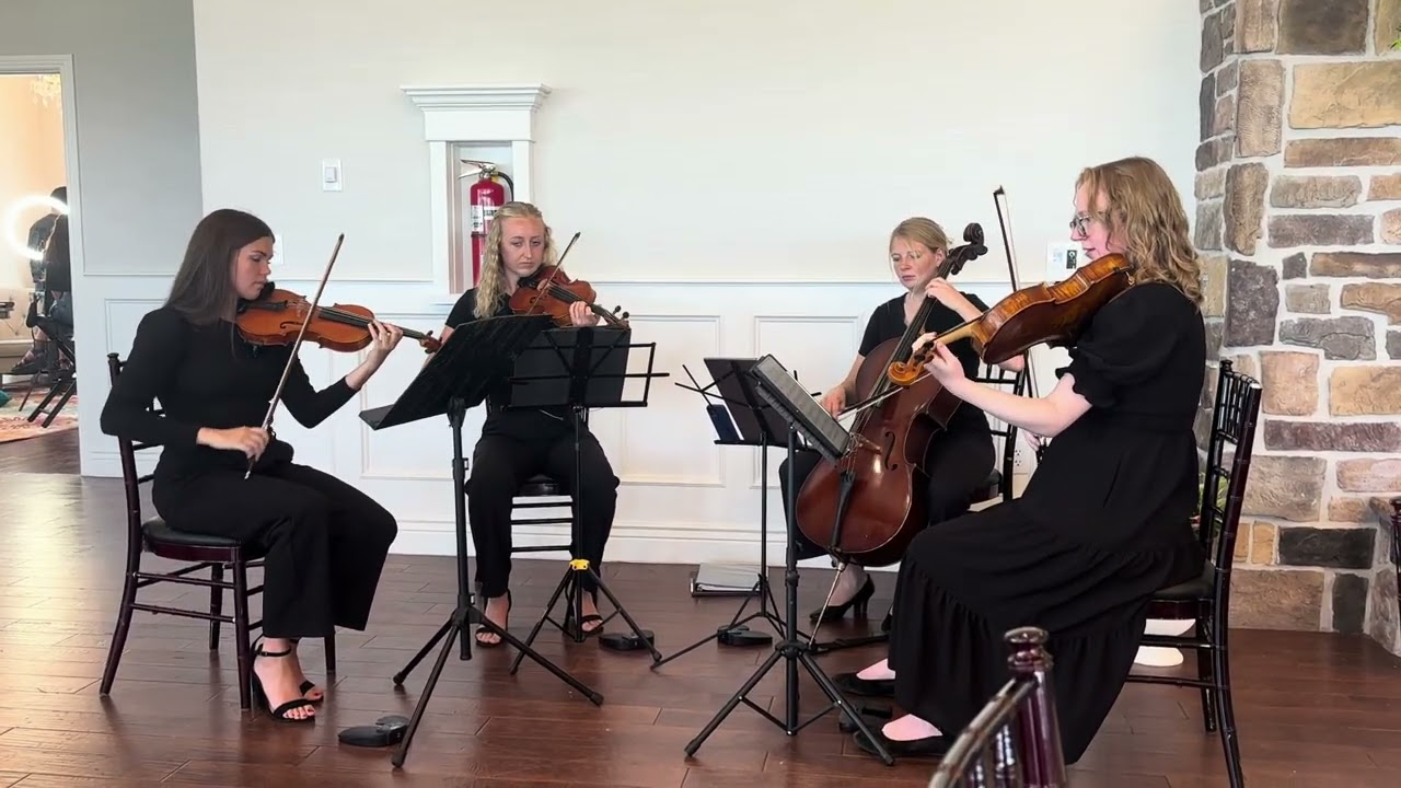 Promotional video thumbnail 4 for Souvenir Strings