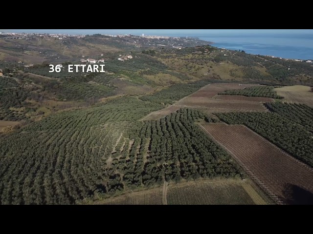 VENDESI AZIENDA AGRICOLA DI 36 ETTARI DI TERRENO CON VISTA MARE A VASTO
