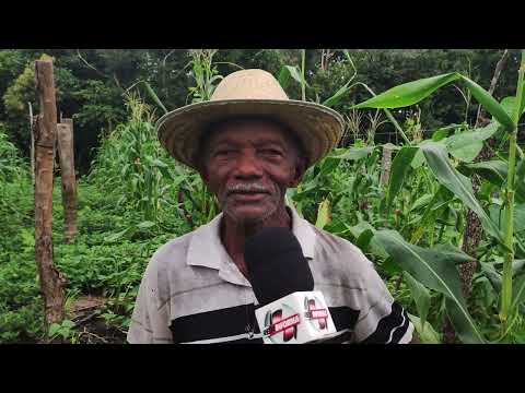 Carolina Maranhão: Agricultura Familiar em Destaque!