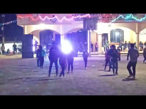 Los viables de la sierra ( Colonia tepehuaje Gro 2026 )