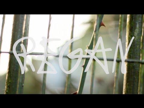 Regan - I Can't Believe It [Official Music Video]