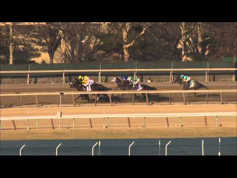 2015 Wood Memorial Stakes