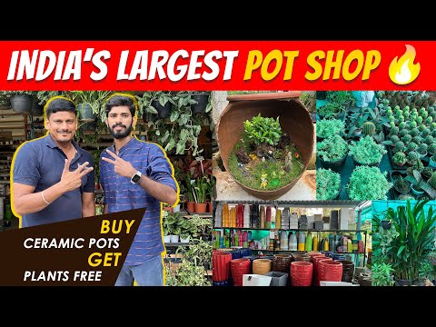 India's Largest Pot Shop In Chennai | Sanjaysamy | Vlog #99