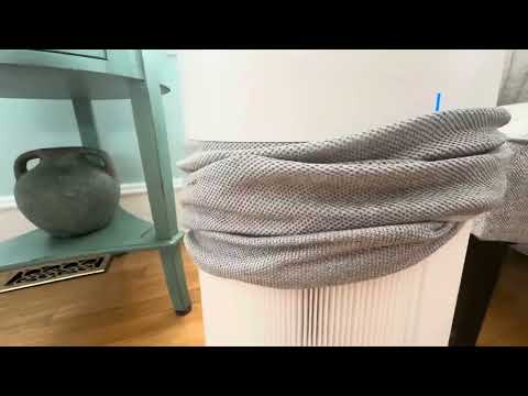 Blueair Pure 311 Auto: The Silent HEPA Air Purifier Revolution for 2025