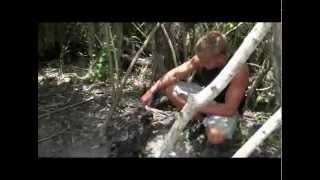 Trained Wild Alligator Guide. Bit! Almost Looses Leg.