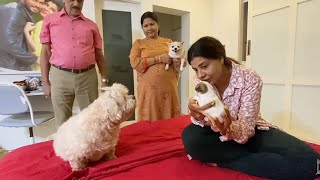 When CHERRY Mausi met Chota Baby️ | Ss vlogs :-) video