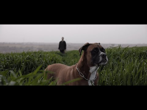 ERSAN - FILIGRANAS [VIDEOCLIP]