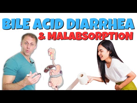 Understanding Bile Acid Diarrhea and Bile Acid Malabsorption