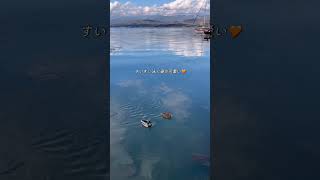 【トルコ暮らし】フェティエセンターをお散歩🚶♀️ #トルコ #トルコ暮らし #vlog #travel #トルコ生活