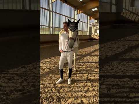 Polo mesh EQUITHEME - Dany