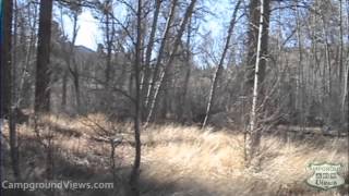 Markleeville Campground Video