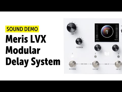 Meris LVX Modular Delay 10th Anniversary by Meris | RockBoard