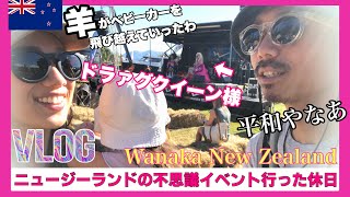 【Vlog】ドラァグクイーンがニュージーランドの農業イベントでキッズに絵本をよみ聞かせるカオスで平和な休日♡/ A&P Show in Wanaka New Zealand