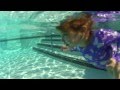 ZARA SWIM TEASER