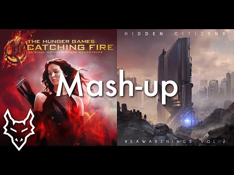 Everybody Wants To Paint It Black - Lorde & Hidden Citizen | Mashup