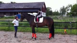 preview picture of video 'Molly Barbour getting a Dressage lesson on Rocky by Kerstin Hellsten of Enköping, Sweden'
