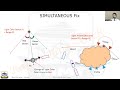 Chartwork Foundation 1 Simultaneous Fix Capt Rajesh Raja HIMT