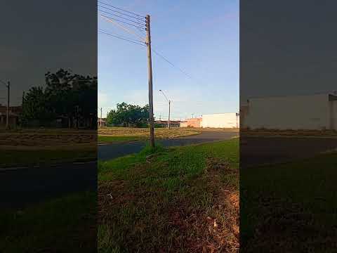 Cidade de Pirangi SP