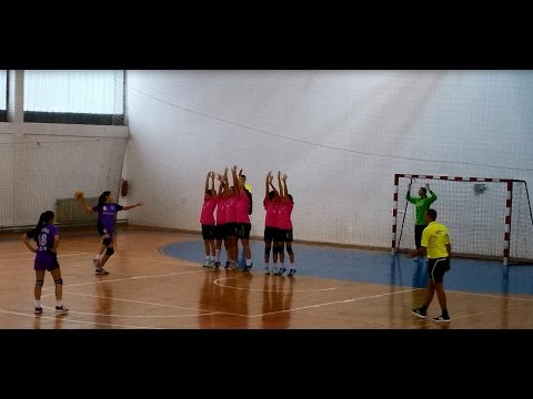 Rukometni klub Radnički BG  -ŽRK Avala