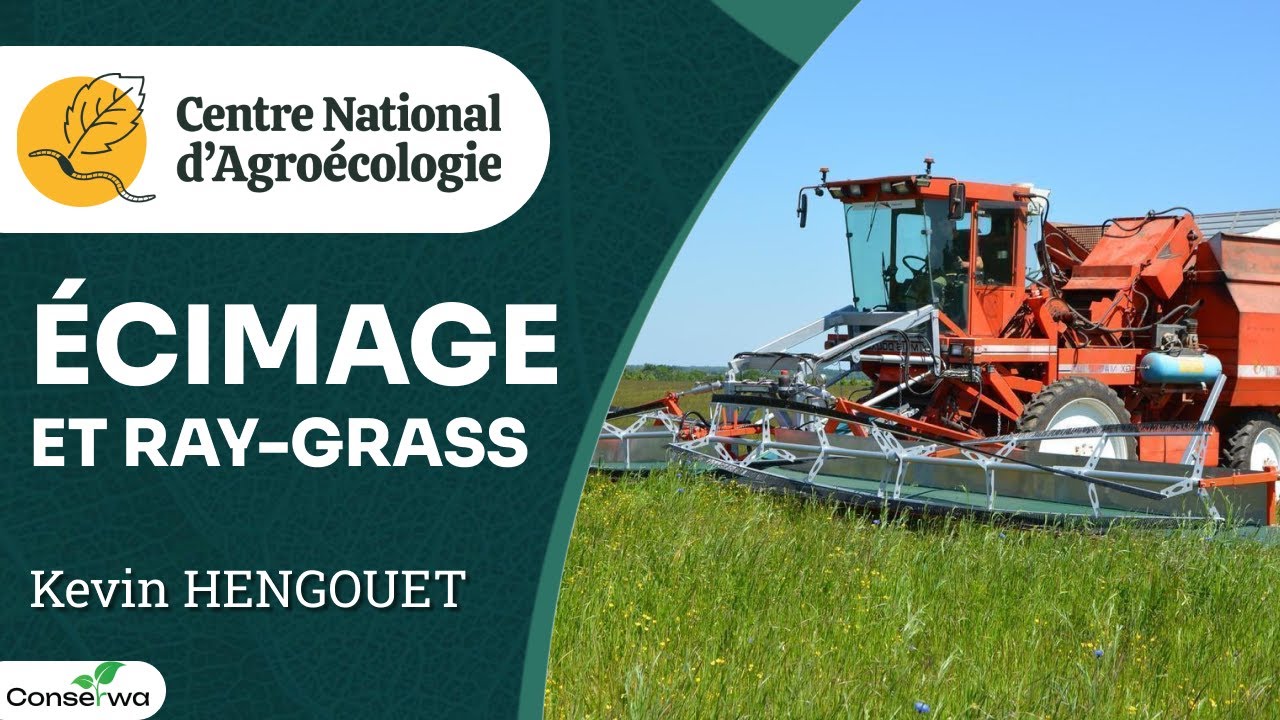 Ecimeuse de 12 m récupératrice contre vulpin & ray grass, Kévin Hengouet  - CNA
