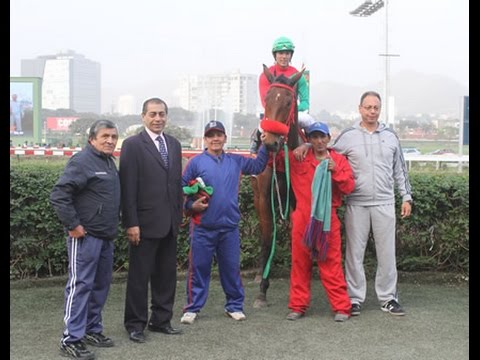 RYANS CHARM - Clásico Santa Rosa de Lima – 2,000 Mts. Césped