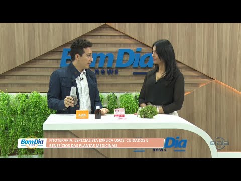 Fitoterapia: Especialista explica usos, cuidados e benefícios das plantas medicinais 18 07 2022