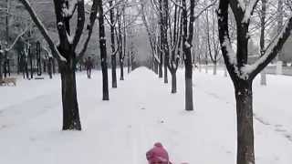 Первый снег(2)