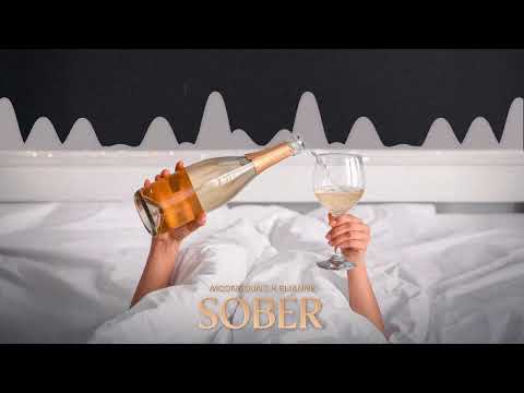 Moonsound X Elianne - Sober | Visualizer