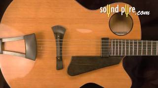 Video thumbnail for Ribbecke Halfling Jazz Archtop Guitar #1106 by soundpurestudios