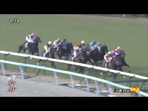 Arrivo (JPN) wins race 11 at Kokura 1/15/2022