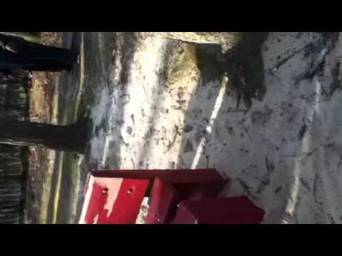 My dad a boss 46 years old