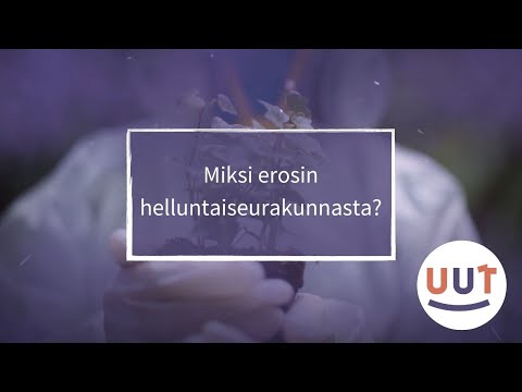 Miksi erosin helluntaiseurakunnasta? Eropäätöksen taustalla voi olla monenlaisia syitä